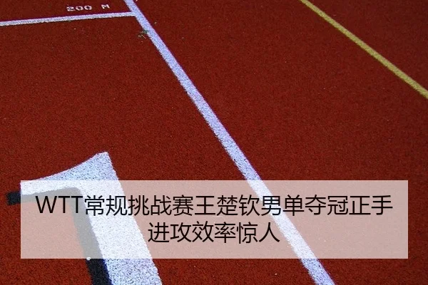 chang-gui-tiao-zhan-sai-wang-chu-qin-nan-dan-duo-guan-zheng-shou-jin-gong-xiao-lv-jing-ren-2-111.jpg