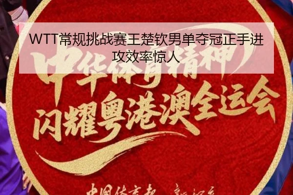 chang-gui-tiao-zhan-sai-wang-chu-qin-nan-dan-duo-guan-zheng-shou-jin-gong-xiao-lv-jing-ren-3-579.jpg