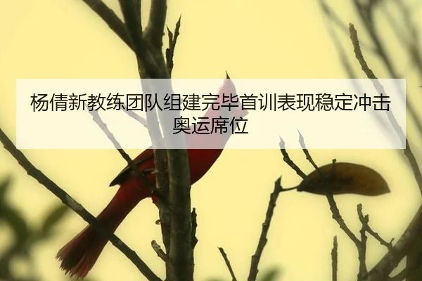 yang-qian-xin-jiao-lian-tuan-dui-zu-jian-wan-bi-shou-xun-biao-xian-wen-ding-chong-ji-ao-yun-xi-wei-2-496.jpg